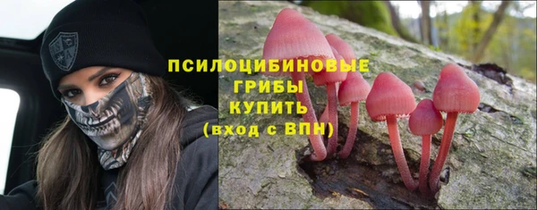 ALPHA-PVP Осинники