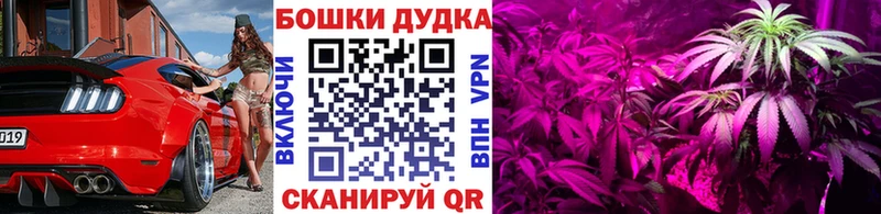 Бошки Шишки гибрид  маркетплейс как зайти  Светлый 